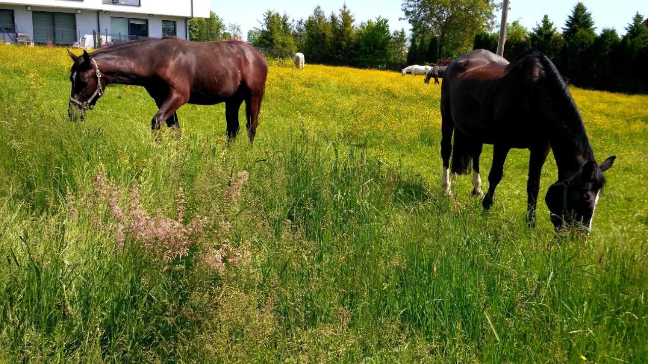 Kwatery Prywatne Lotnicza Bielsko-Biala Luaran gambar